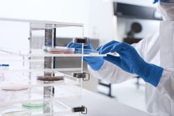 Hourglass International Sterile Accelerator-Free Nitrile Procedure Gloves X-Large | Buy Online | Hourglass International | Fisher Scientific